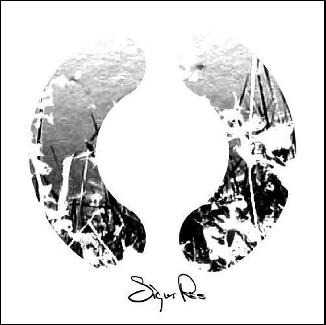 Sigur Ros/in a frozen 放さ seaブックレット