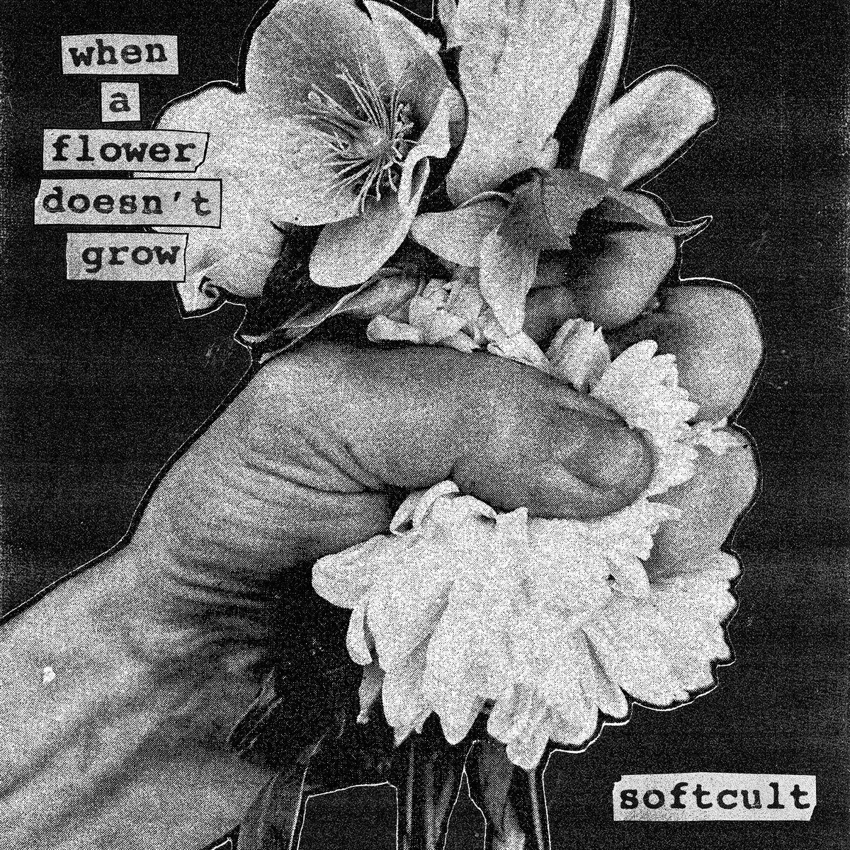 Softcult『When A Flower Doesn't Grow』ジャケット