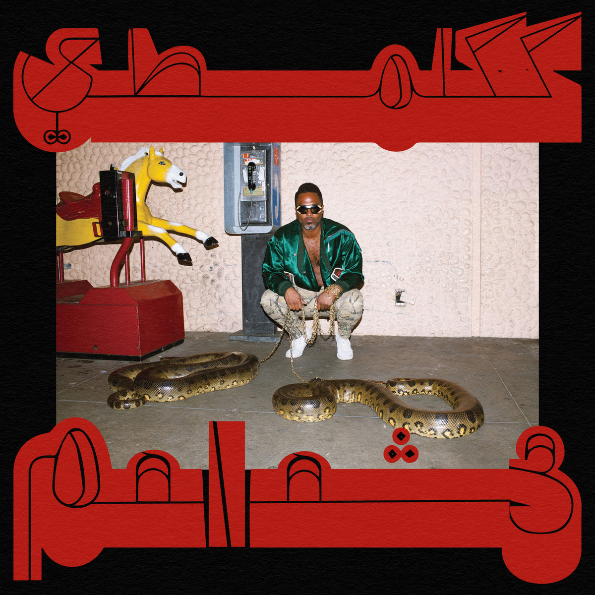Shabazz Palaces : Robed in Rareness | TURN
